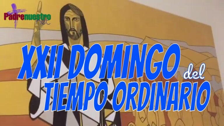 XXII Domingo del Tiempo ordinario
