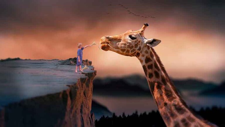 Cuentos con valores