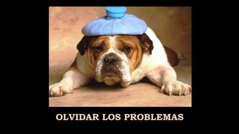 Cosas que hacer en lo que queda del año con un toque de humor