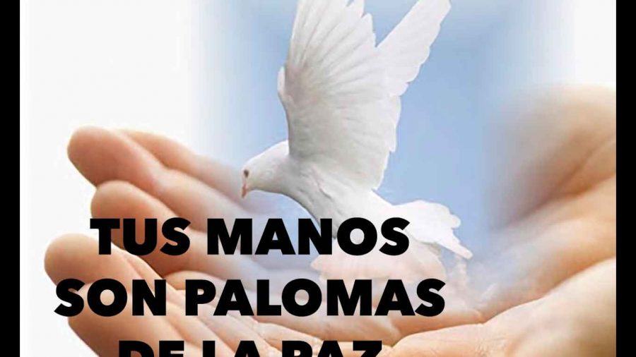 Tus manos son palomas de la paz