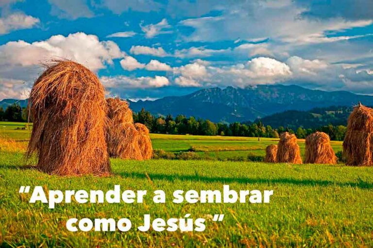 Parabola del sembrador