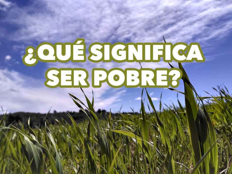 PAPA ¿QUE SIGNIFICA SER POBRE?