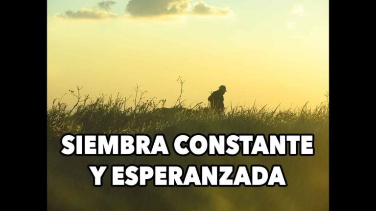 Siembra constante y esperanzada