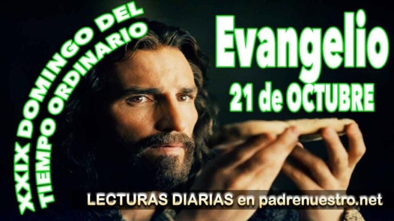 Domingo 29 del tiempo ordinario