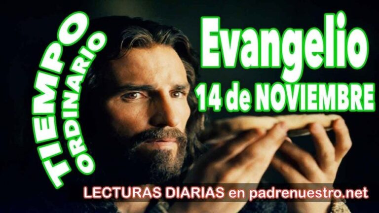 Evangelio del día 14 de noviembre