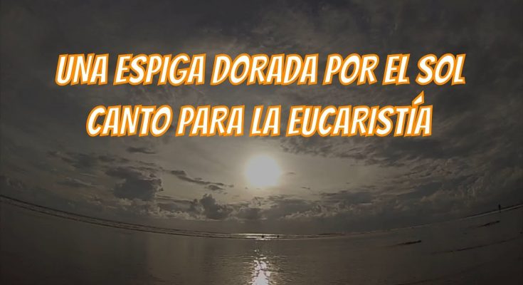Una espiga dorada por el sol | CANTO DE MISA - padrenuestro.net