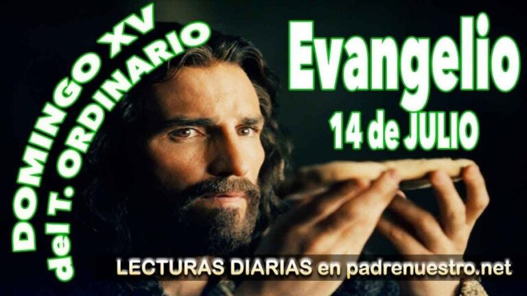 Domingo XV del Tiempo ordinario