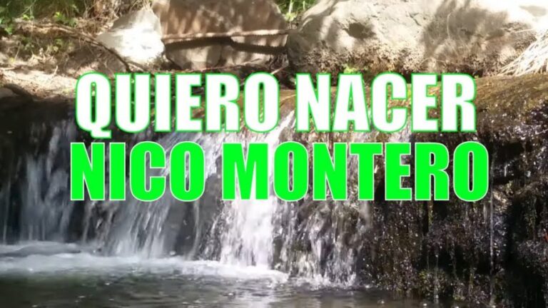 Quiero nacer | NICO MONTERO