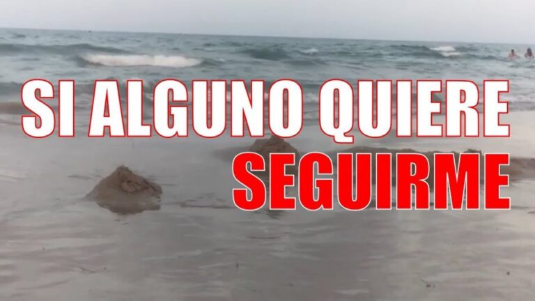 Si alguno quiere seguirme