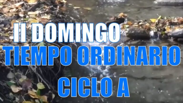 Guión eucaristía para el segundo domingo del tiempo ordinario