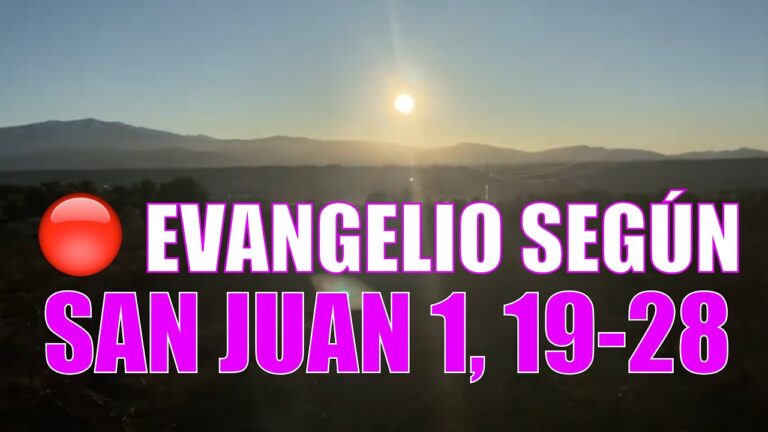 Evangelio según San Juan 1,19-28