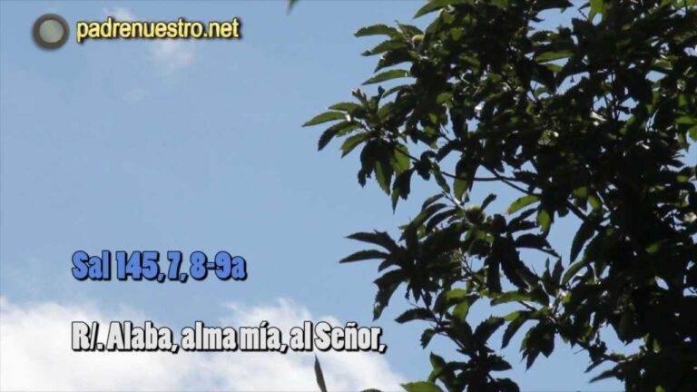 [Vídeo] Salmo 145 - Alaba, alma mía, al Señor