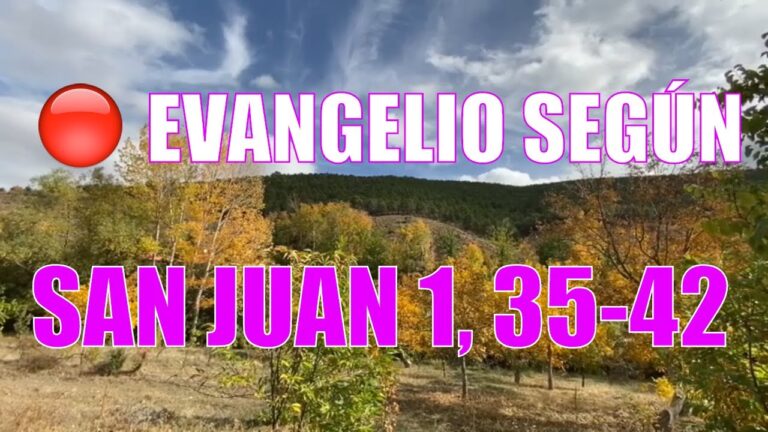 Evangelio según San Juan 1,35-42.