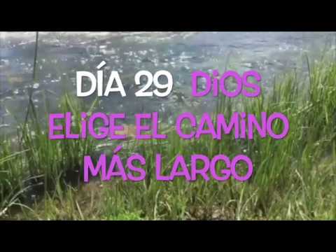 Camino de Cuaresma - Día 29