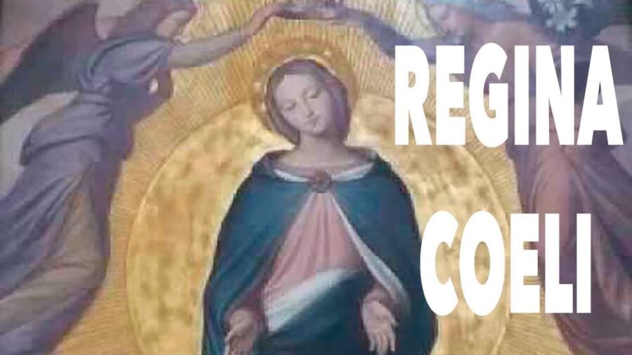 En este tiempo de Pascua cantamos el Regina Coeli a la hora del Ángelus