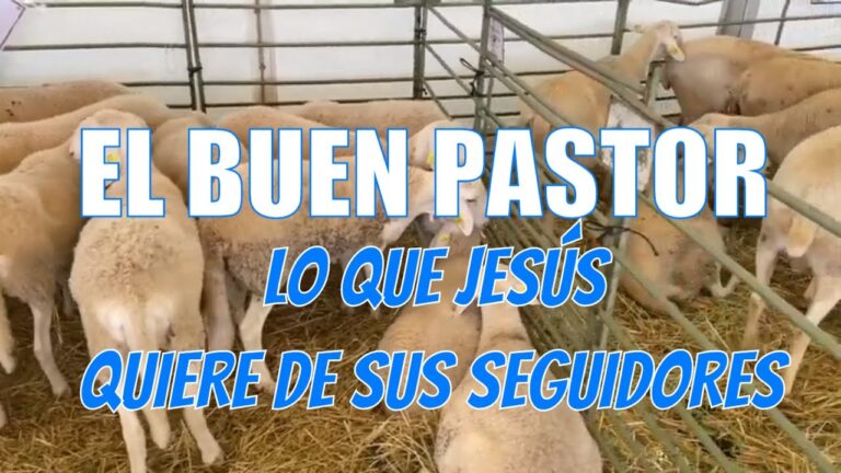 El BUEN PASTOR | Lo que JESÚS quiere de nosotros