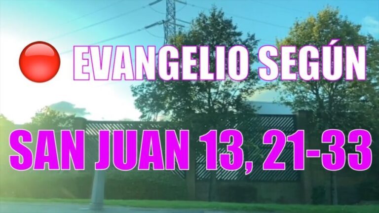 Evangelio según San Juan 13,21-33.36-38.