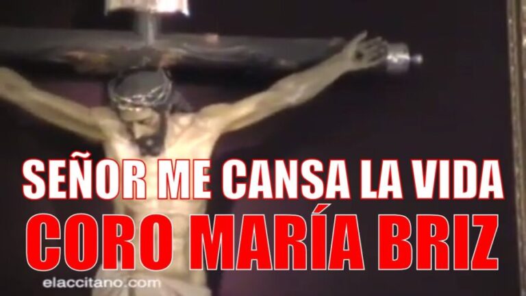 Señor me cansa la vida
