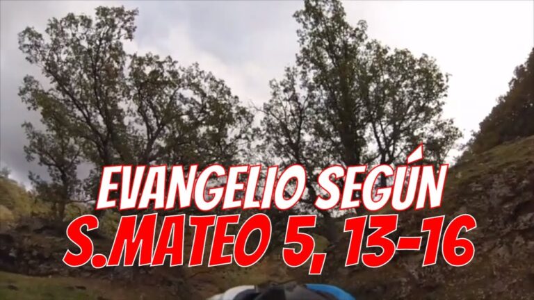 Evangelio según San Mateo 5,13-16