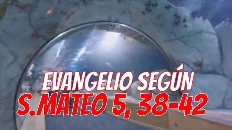 Evangelio según San Mateo 5, 38-42