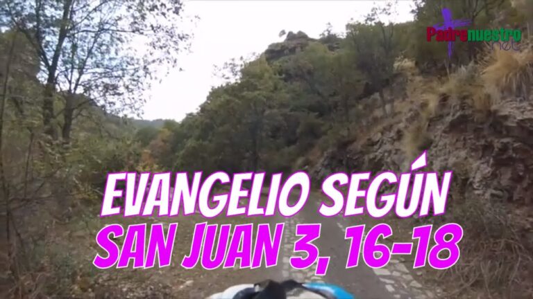 Evangelio según San Juan 3,16-18