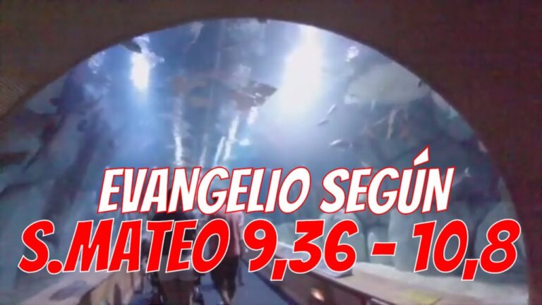 Evangelio según San Mateo 9, 36 - 10, 8