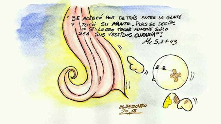 Evangelio del Domingo XIII Tiempo Ordinario – Ciclo A