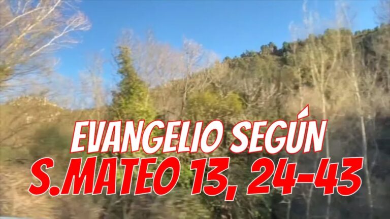 Mateo 13, 24-35