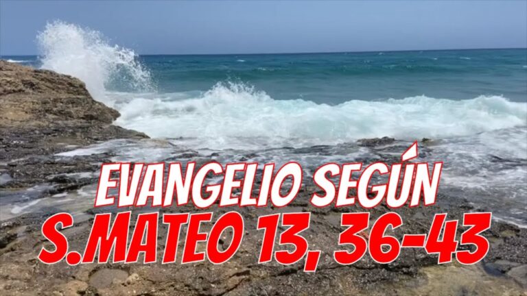 Evangelio del día 28 de julio