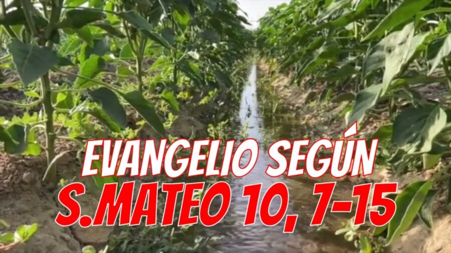 ᐅ EVANGELIO del DÍA 9 de julio con el Padre Guillermo Serra