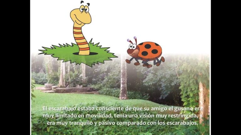 El Gusano y el Escarabajo - Cuentos con valores
