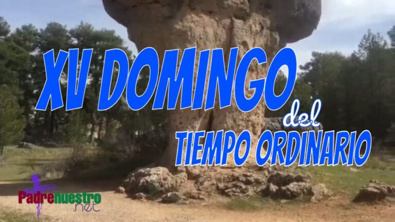 Reflexión para el XV Domingo del Tiempo ordinario