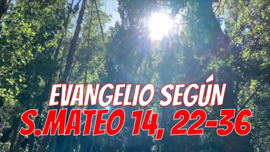 ᐅ EVANGELIO del DÍA 3 de Agosto