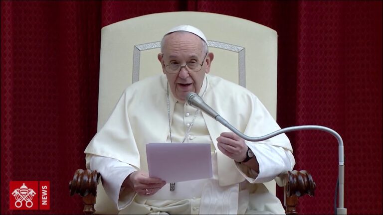 Catequesis del Papa Francisco sobre sanar el mundo