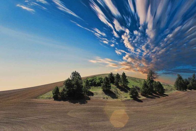 La tierra