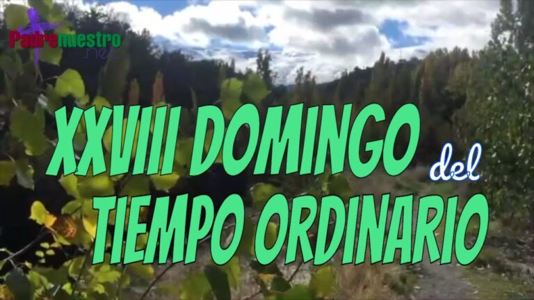 XXVIII Domingo del Tiempo ordinario - Ciclo A