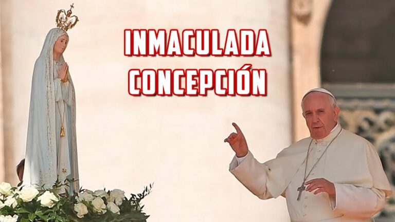Palabras del Papa Francisco en la festividad de la Inmaculada Concepción