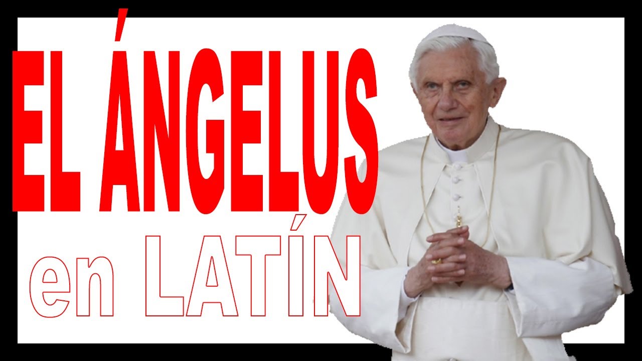 Ángelus: El Papa Benedicto XVI