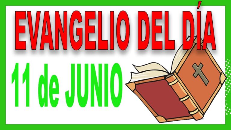 Evangelio del día 11 de Junio con el Padre Guillermo Serra