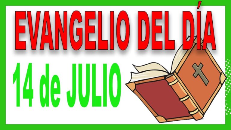 Evangelio del día 14 de Julio