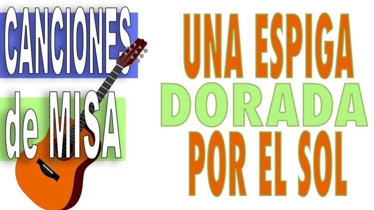 Una espiga dorada por el sol