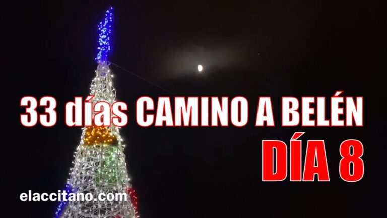 Camino a Belén «Yo seré tu escudo» | Padre Guillermo Serra