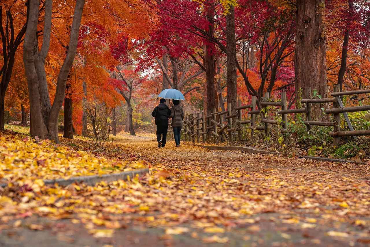 Pasos pareja dando un paseo