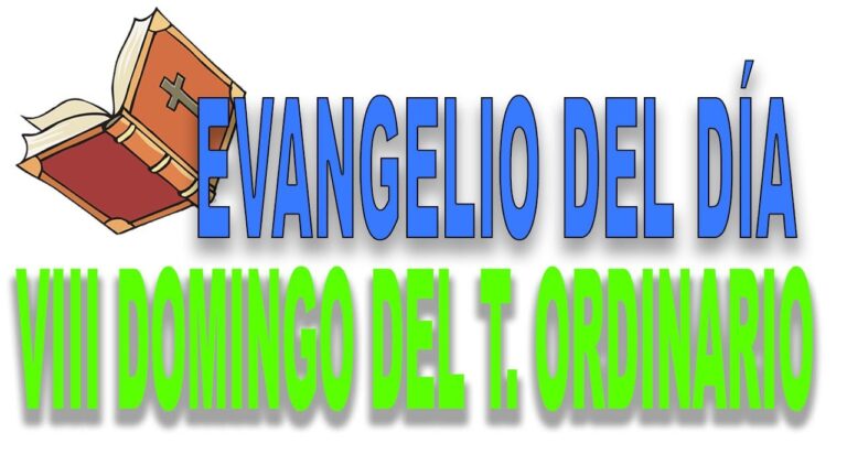 VIII Domingo del tiempo ordinario