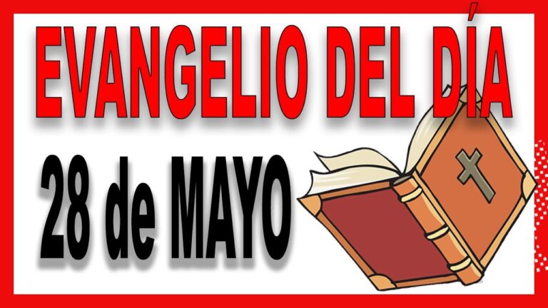 Evangelio del día 28 de mayo