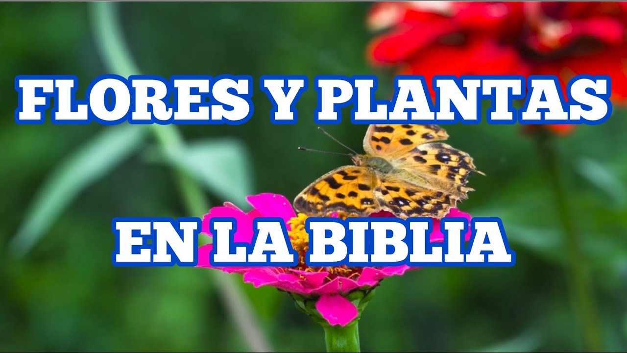 Flores y plantas mencionadas en la Biblia
