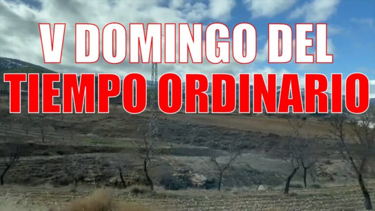 V Domingo del Tiempo Ordinario