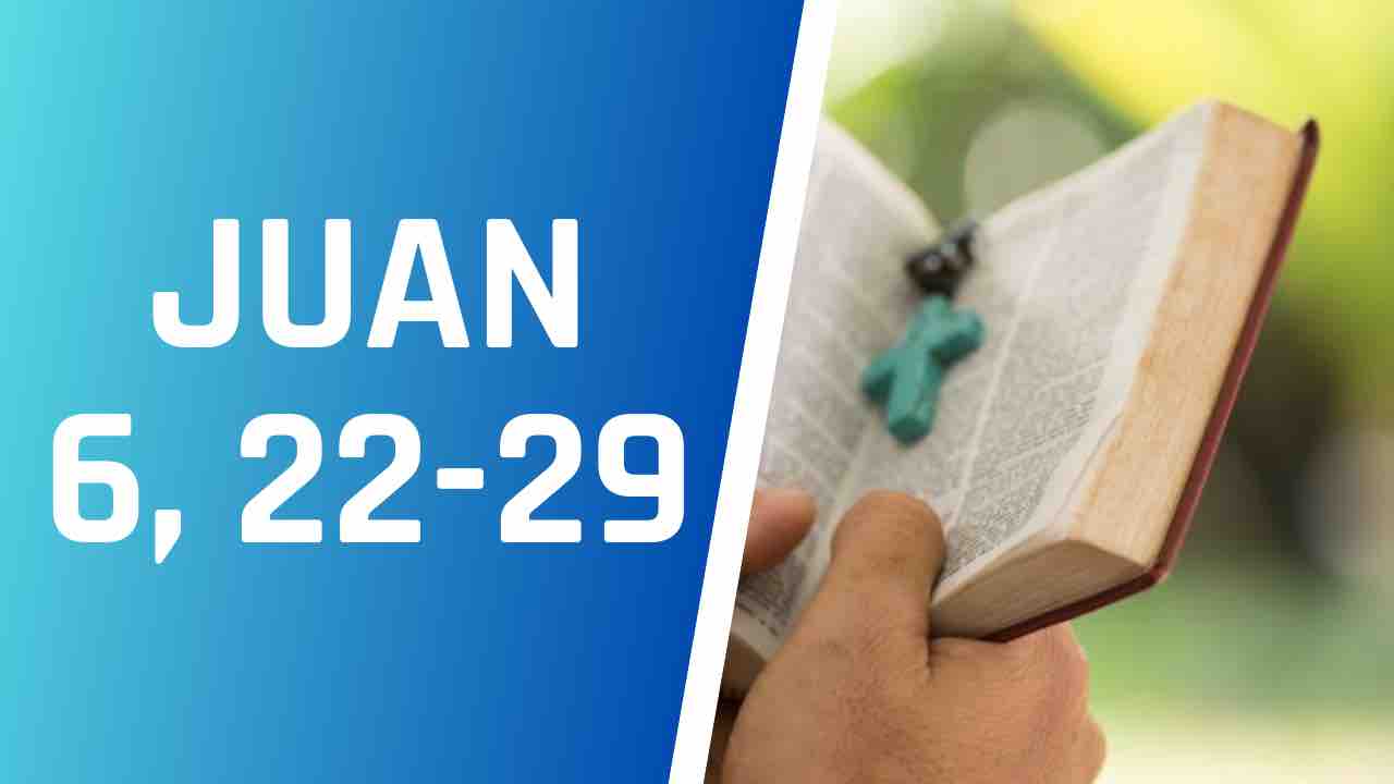 Evangelio según San JUAN 6, 22-29