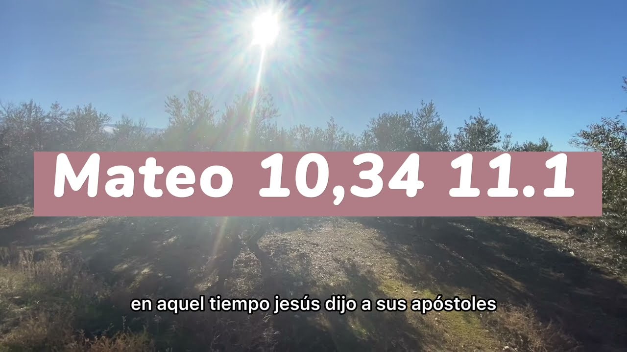 MATEO 10, 34-42. 11, 1