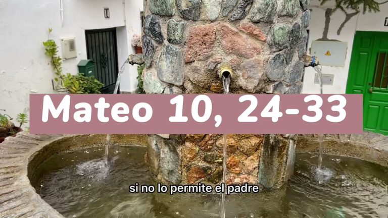 MATEO 10, 24-33